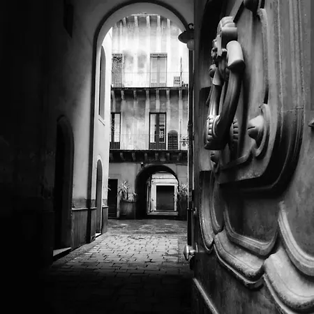 Casa Flos31