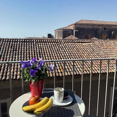 Casa Flos31